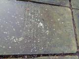image of grave number 810602